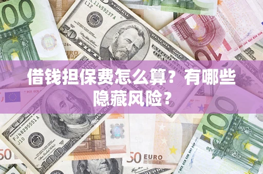 武汉借钱担保费怎么算？有哪些隐藏风险？