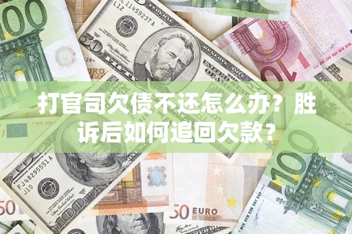 武汉打官司欠债不还怎么办？胜诉后如何追回欠款？