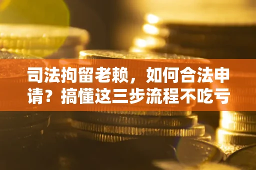 武汉司法拘留老赖，如何合法申请？搞懂这三步流程不吃亏！