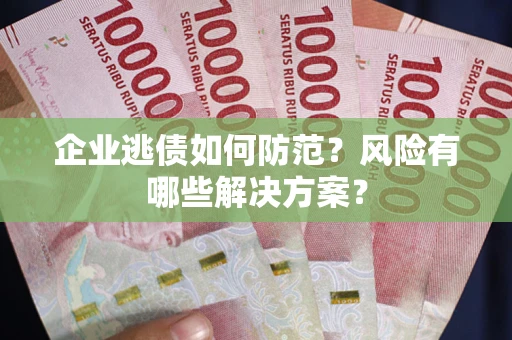 武汉企业逃债如何防范？风险有哪些解决方案？