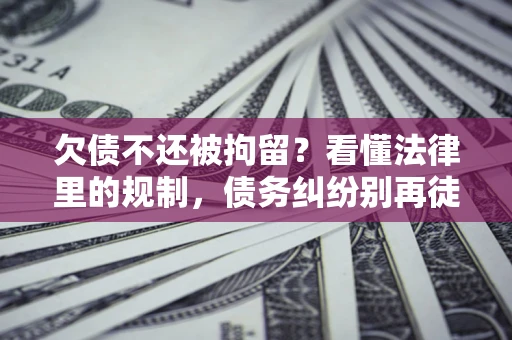 武汉欠债不还被拘留？看懂法律里的规制，债务纠纷别再徒劳奔波
