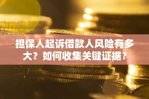 武汉担保人起诉借款人风险有多大？如何收集关键证据？