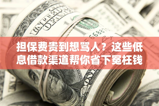 武汉担保费贵到想骂人？这些低息借款渠道帮你省下冤枉钱