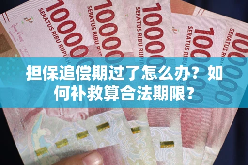 武汉担保追偿期过了怎么办？如何补救算合法期限？
