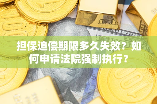 武汉担保追偿期限多久失效？如何申请法院强制执行？