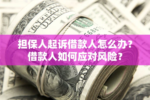 武汉担保人起诉借款人怎么办？借款人如何应对风险？