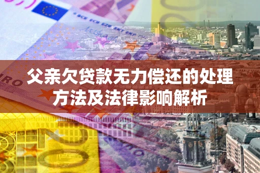 武汉父亲欠贷款无力偿还的处理方法及法律影响解析
