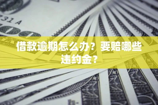 武汉借款逾期怎么办？要赔哪些违约金？