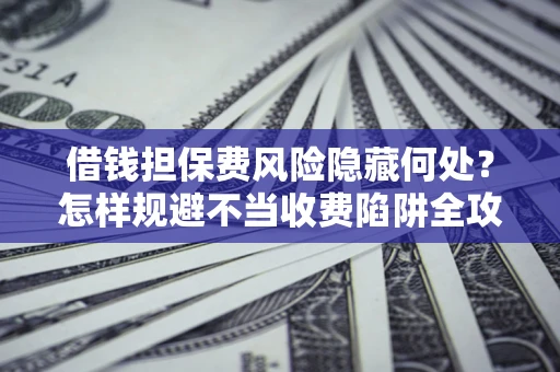 武汉借钱担保费风险隐藏何处？怎样规避不当收费陷阱全攻略！