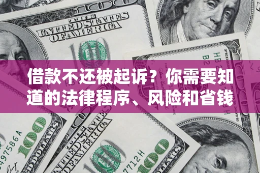 武汉借款不还被起诉？你需要知道的法律程序、风险和省钱技巧