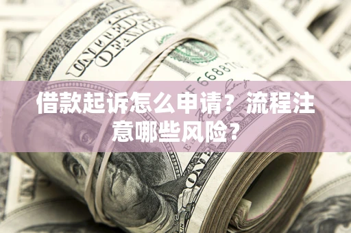 武汉借款起诉怎么申请？流程注意哪些风险？